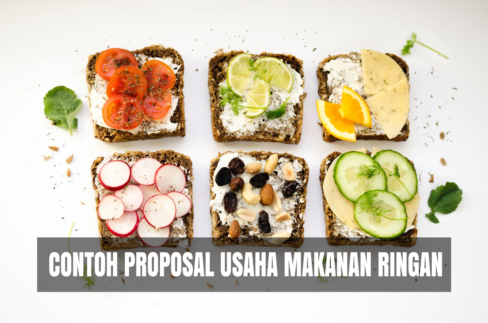 Contoh Proposal Usaha Makanan Ringan Yang Unik Materi Pendidikan 